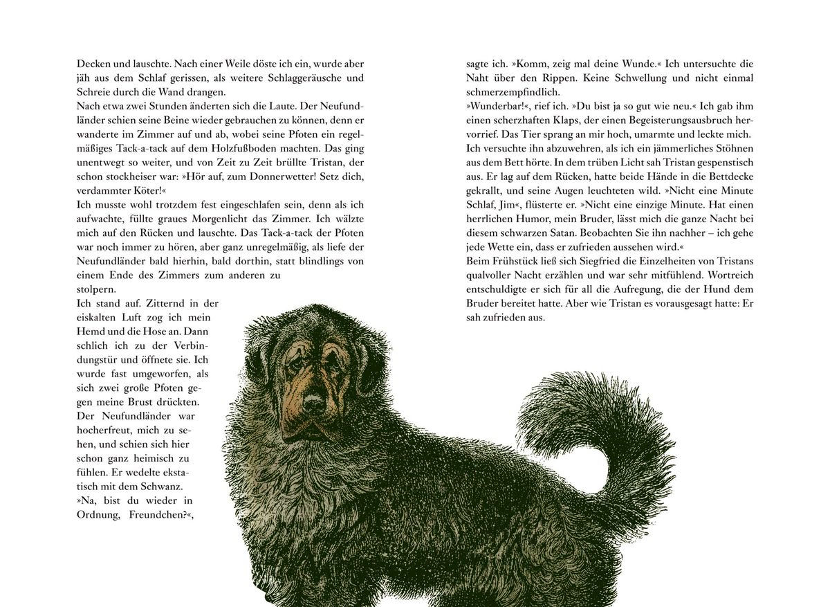 Weitere Ansicht: Der Doktor und das liebe Vieh | James Herriot