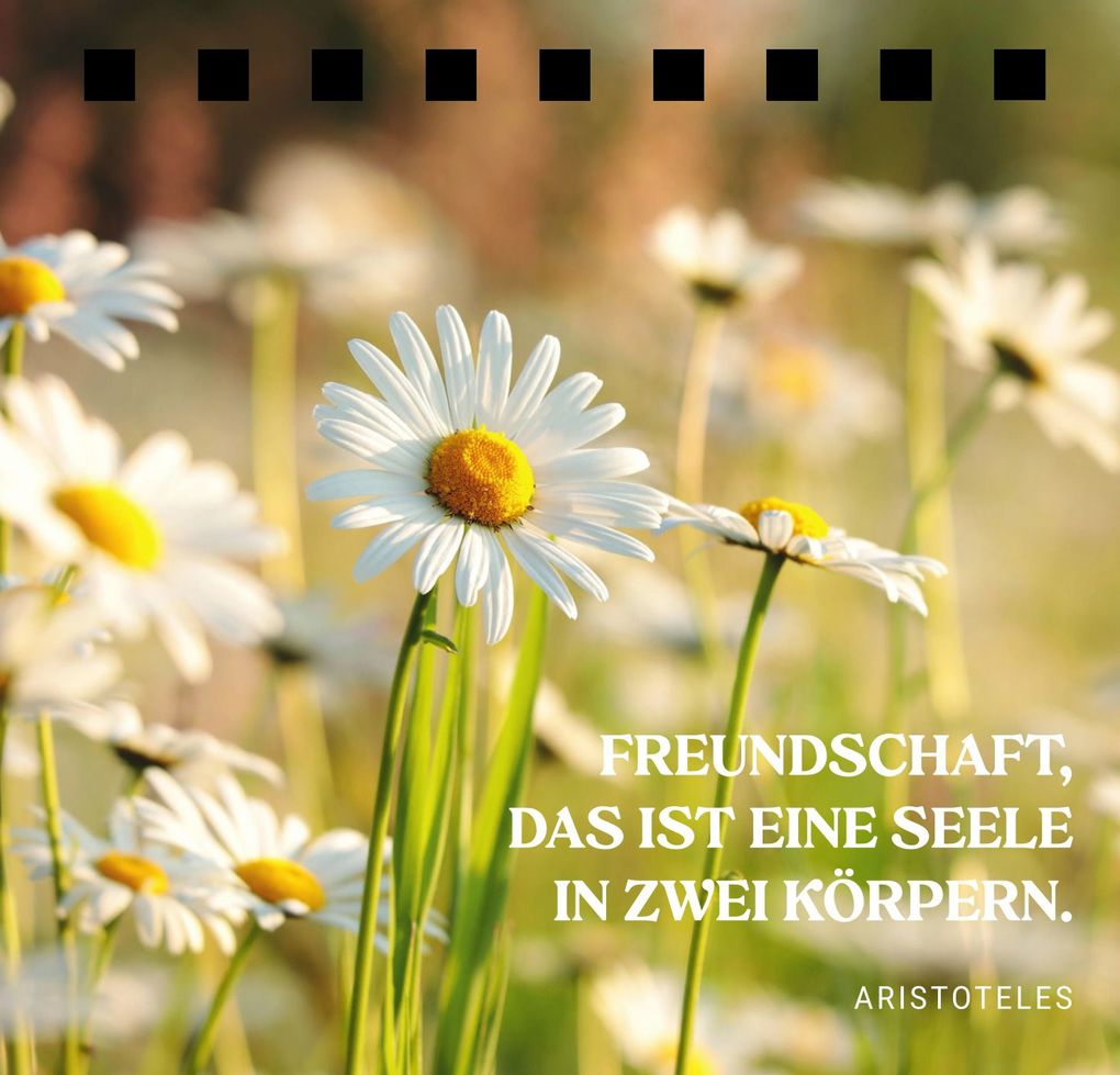 Weitere Ansicht: Du bist einfach eine gute Freundin