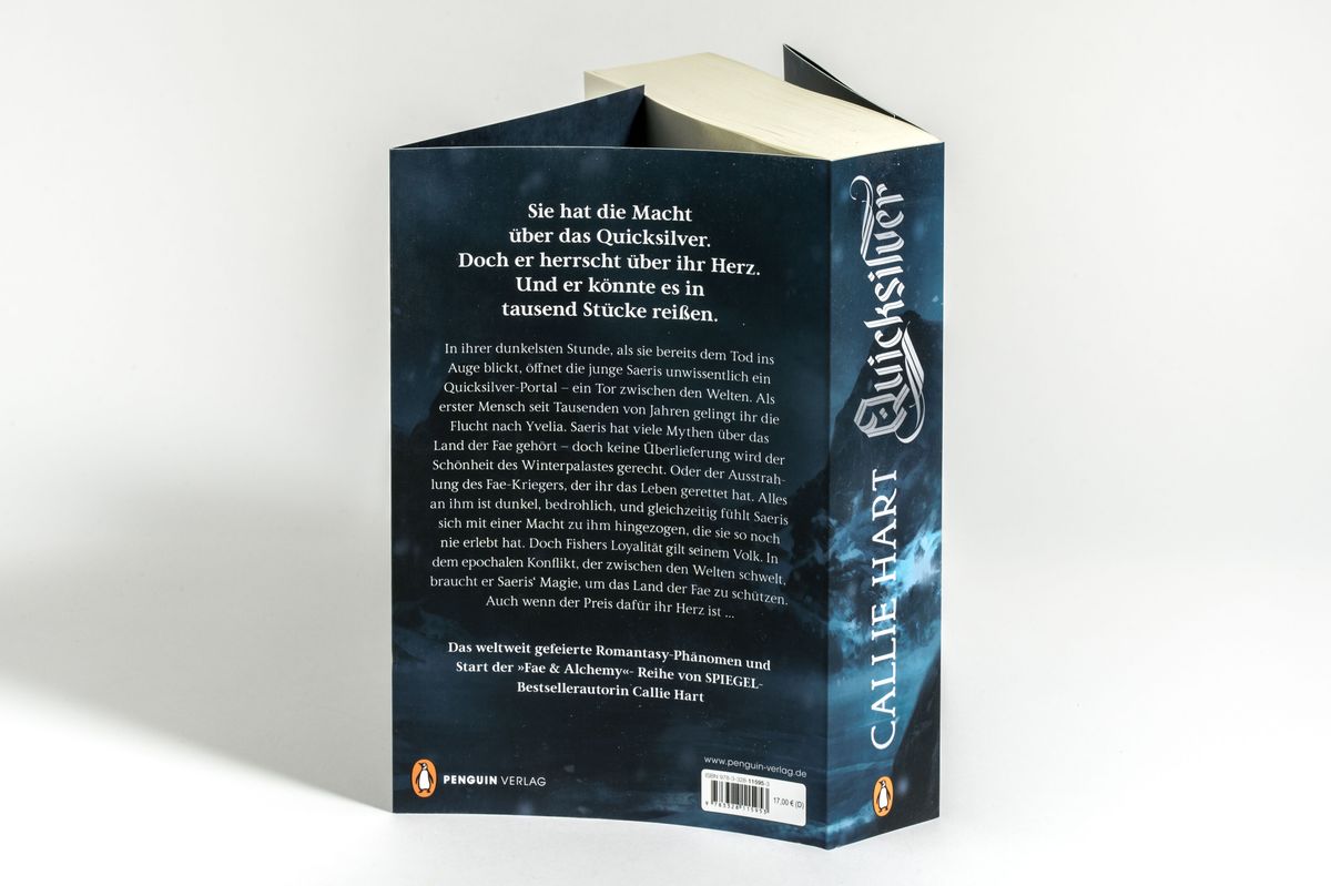 Weitere Ansicht: Quicksilver - Tochter des Silbers. Gefangener der Schatten | Callie Hart