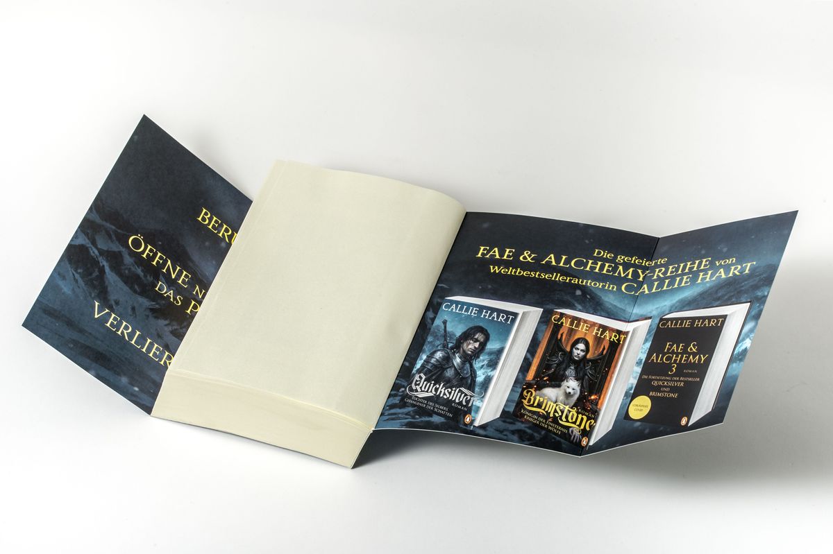 Weitere Ansicht: Quicksilver - Tochter des Silbers. Gefangener der Schatten | Callie Hart