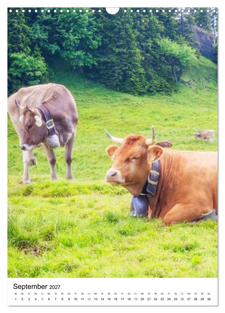 Weitere Ansicht: Allgäu, Berge, Wiesen, Seen und Kühe. (Wandkalender 2027 DIN A3 hoch), CALVENDO Monatskalender | VogtArt, Calvendo