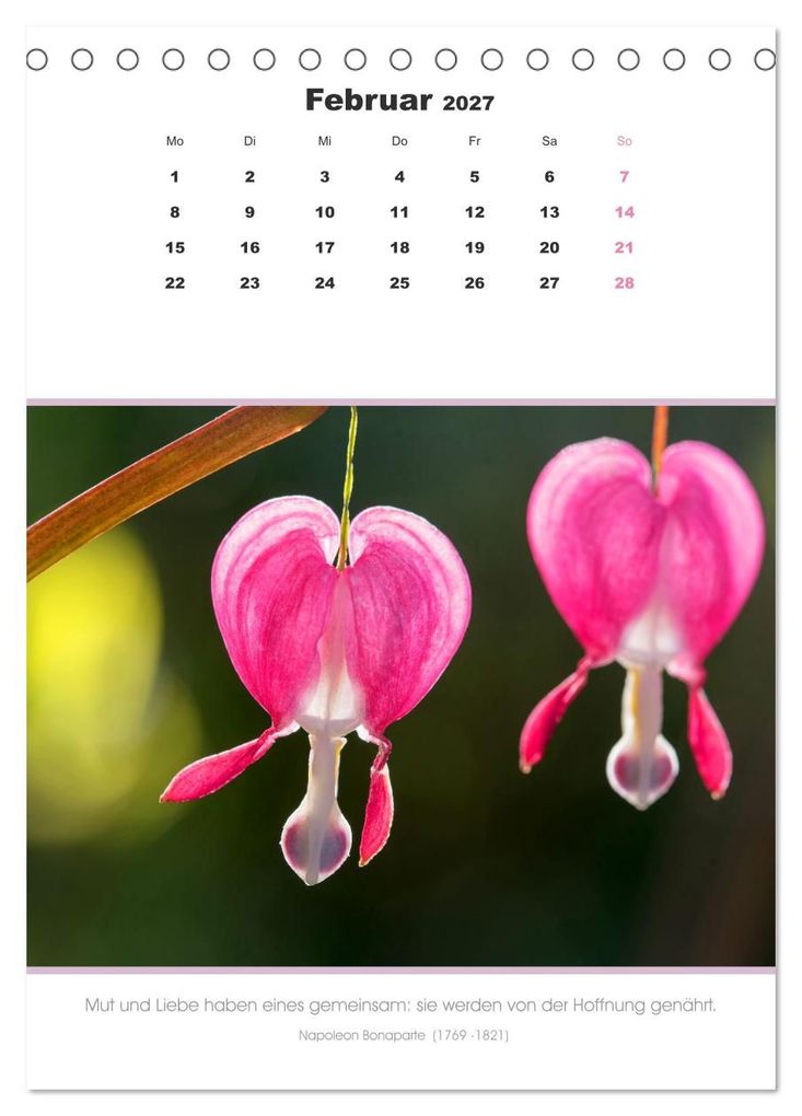 Weitere Ansicht: Attraktive Herzmotive 2027 (Tischkalender 2027 DIN A5 hoch), CALVENDO Monatskalender | SusaZoom, Calvendo