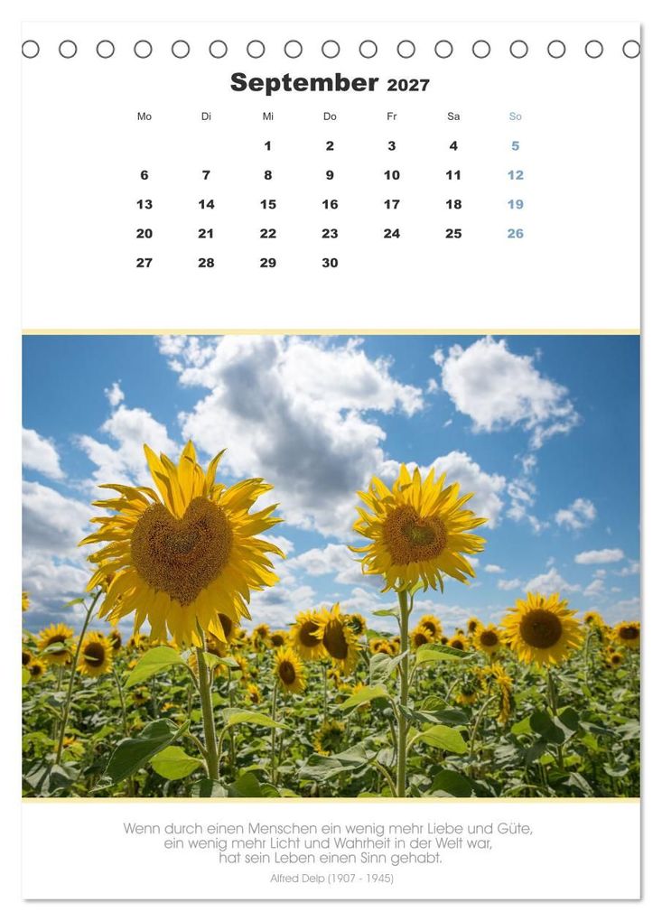 Weitere Ansicht: Attraktive Herzmotive 2027 (Tischkalender 2027 DIN A5 hoch), CALVENDO Monatskalender | SusaZoom, Calvendo
