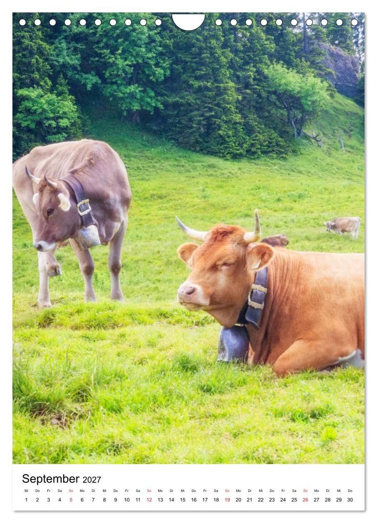 Weitere Ansicht: Allgäu, Berge, Wiesen, Seen und Kühe. (Wandkalender 2027 DIN A4 hoch), CALVENDO Monatskalender | VogtArt, Calvendo