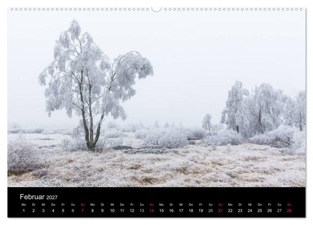 Weitere Ansicht: HOHES VENN - Einblicke in ein Hochmoor (Wandkalender 2027 DIN A2 quer), CALVENDO Monatskalender | rclassen, Calvendo