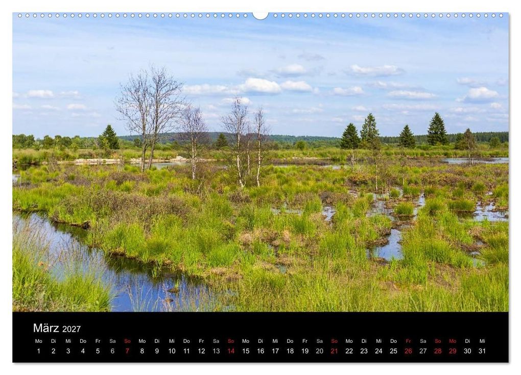 Weitere Ansicht: HOHES VENN - Einblicke in ein Hochmoor (Wandkalender 2027 DIN A2 quer), CALVENDO Monatskalender | rclassen, Calvendo