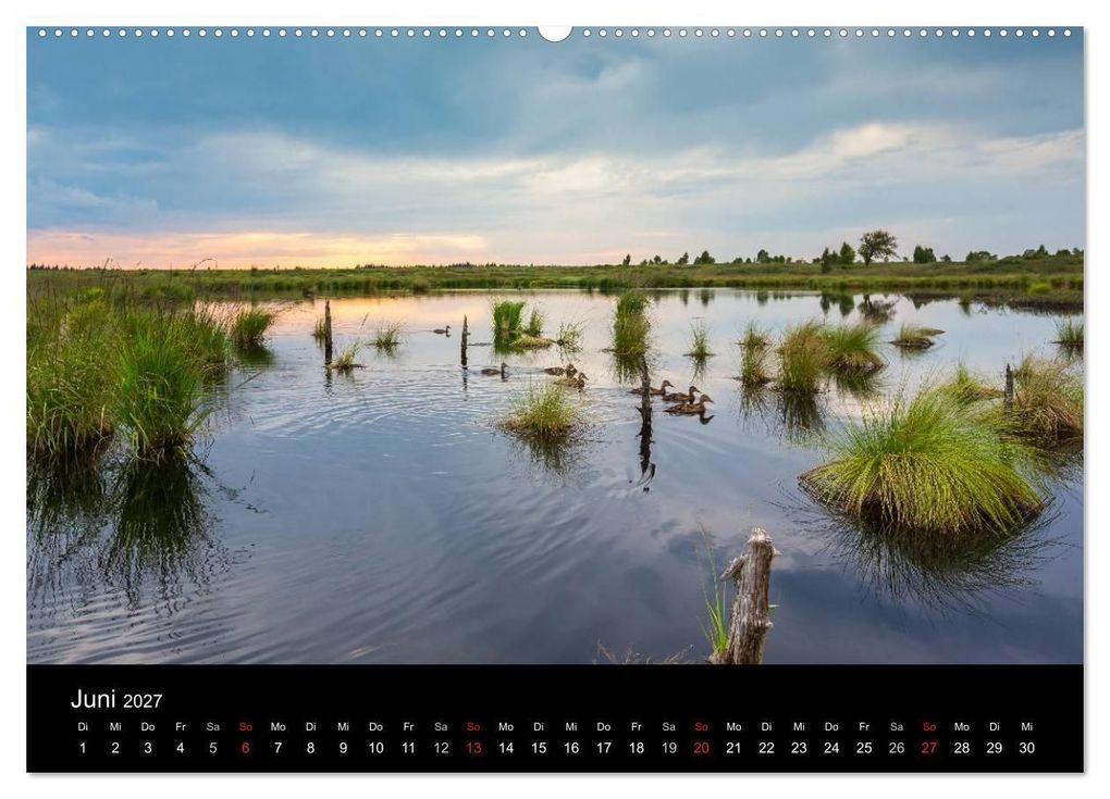 Weitere Ansicht: HOHES VENN - Einblicke in ein Hochmoor (Wandkalender 2027 DIN A2 quer), CALVENDO Monatskalender | rclassen, Calvendo