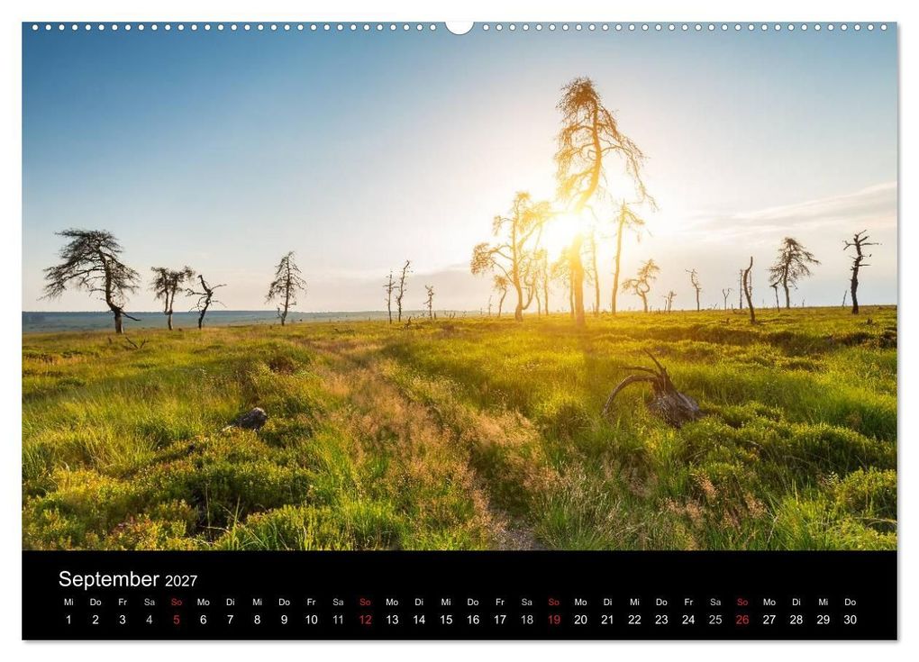 Weitere Ansicht: HOHES VENN - Einblicke in ein Hochmoor (Wandkalender 2027 DIN A2 quer), CALVENDO Monatskalender | rclassen, Calvendo