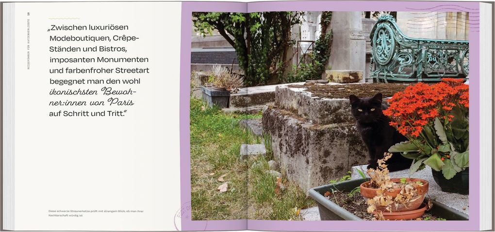 Weitere Ansicht: LONELY PLANET Bildband Reiseführer für Katzenverliebte