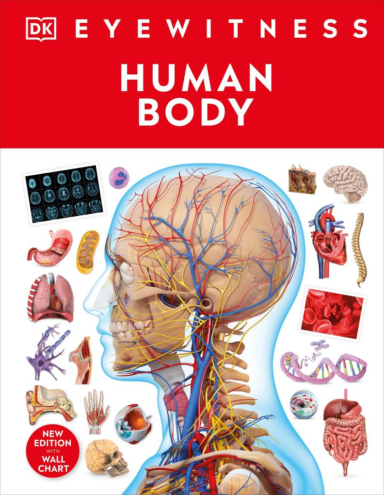 Produktbild: Human Body | Dk