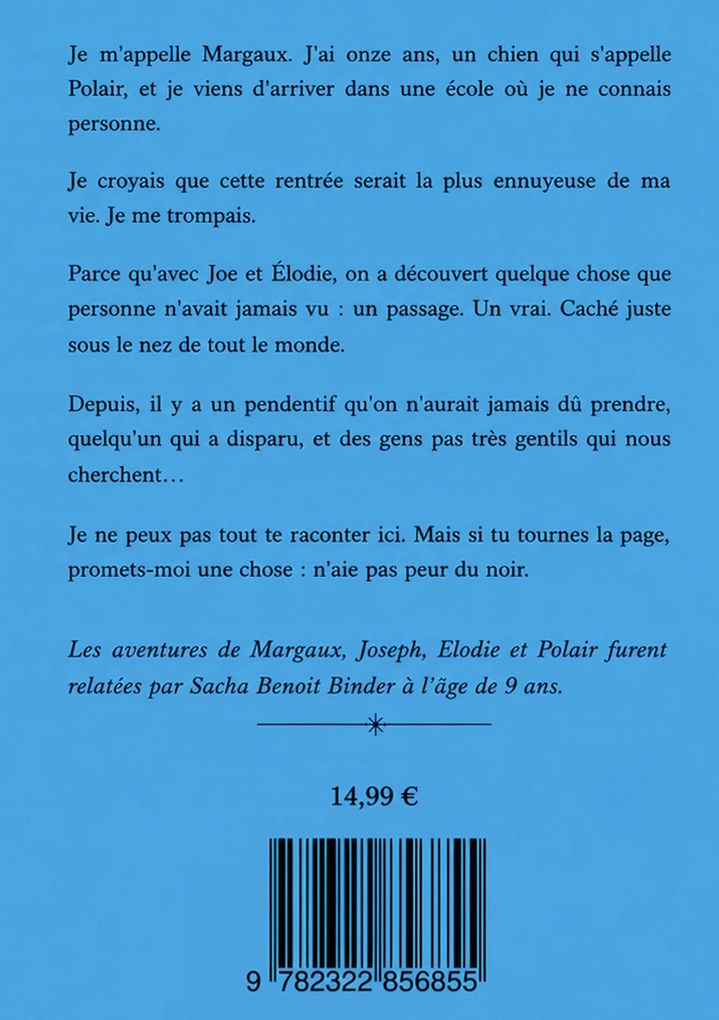 Weitere Ansicht: Le passage ignoré | Sacha Benoit Binder