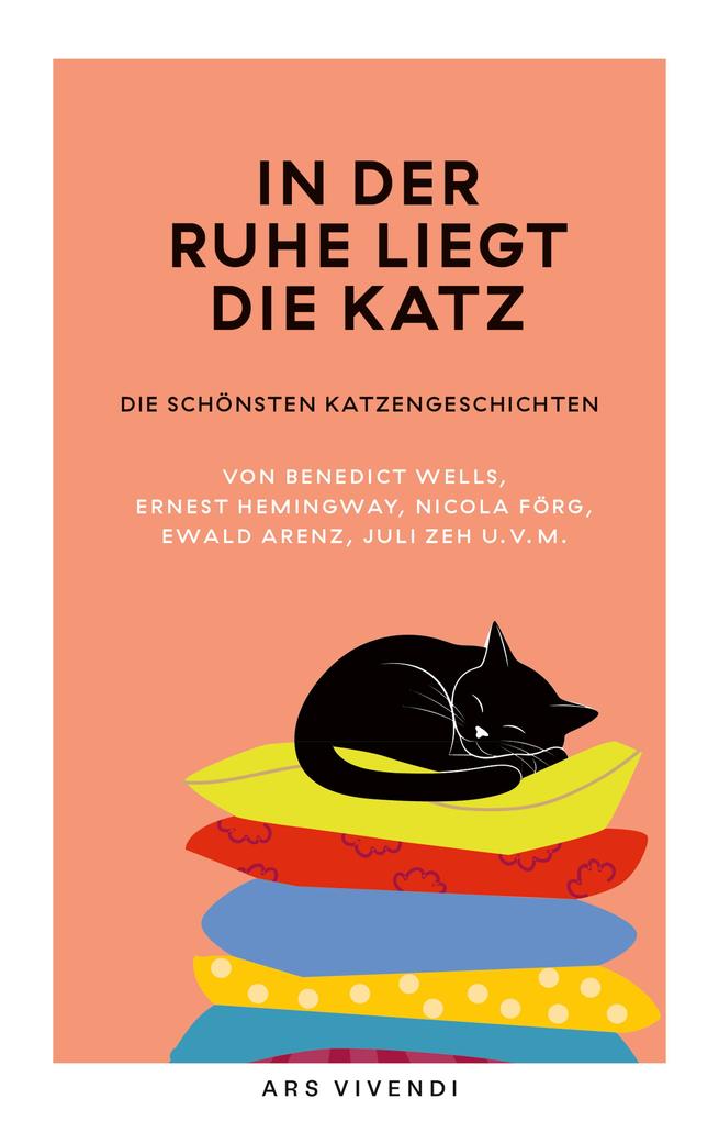 Produktbild: In der Ruhe liegt die Katz | Benedict Wells, Ernest Hemingway, Nicola Förg, Ewald Arenz, Juli Zeh