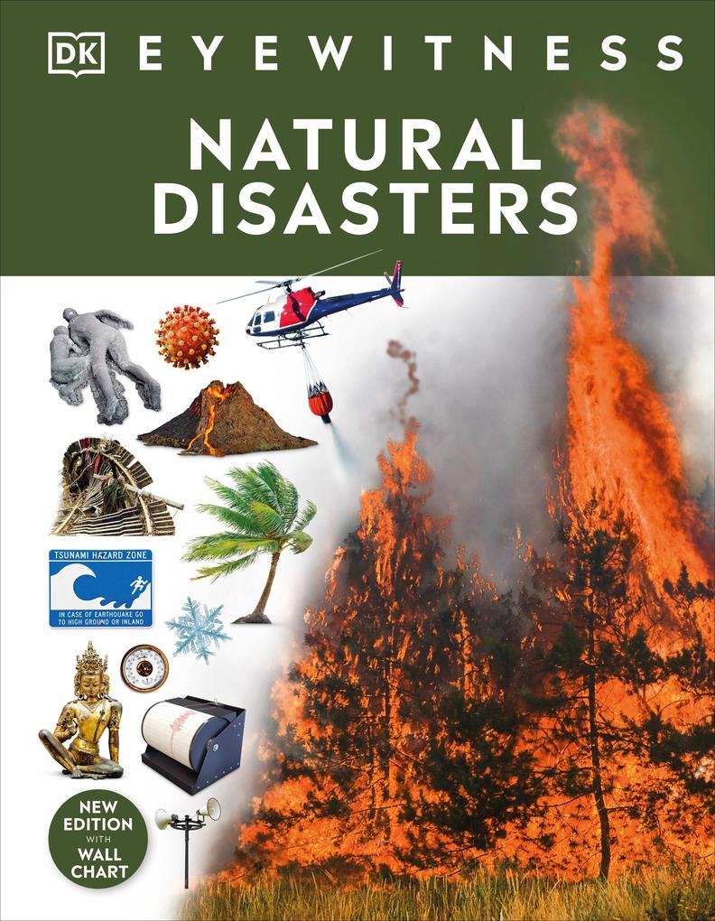 Produktbild: Natural Disasters | Dk
