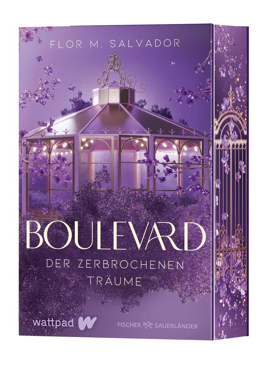 Produktbild: Boulevard der zerbrochenen Träume | Flor M. Salvador