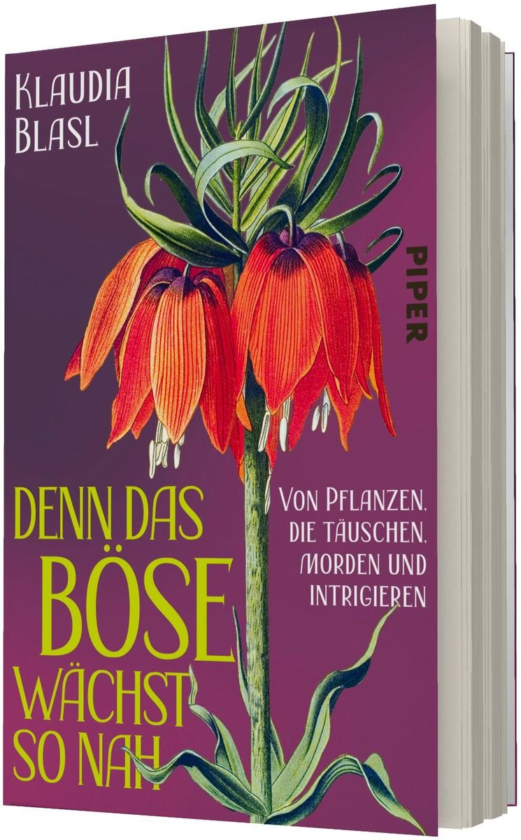 Weitere Ansicht: Denn das Böse wächst so nah | Klaudia Blasl