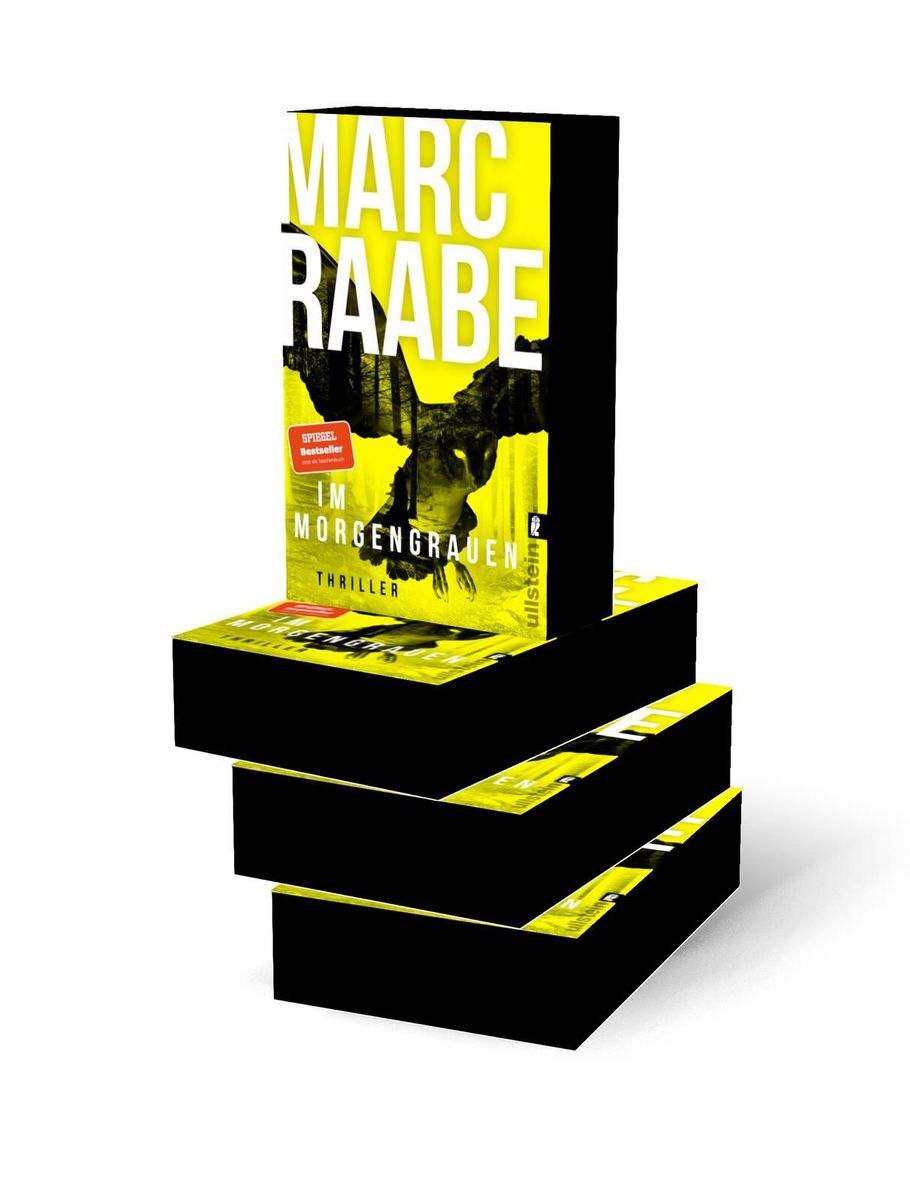 Weitere Ansicht: Im Morgengrauen | Marc Raabe
