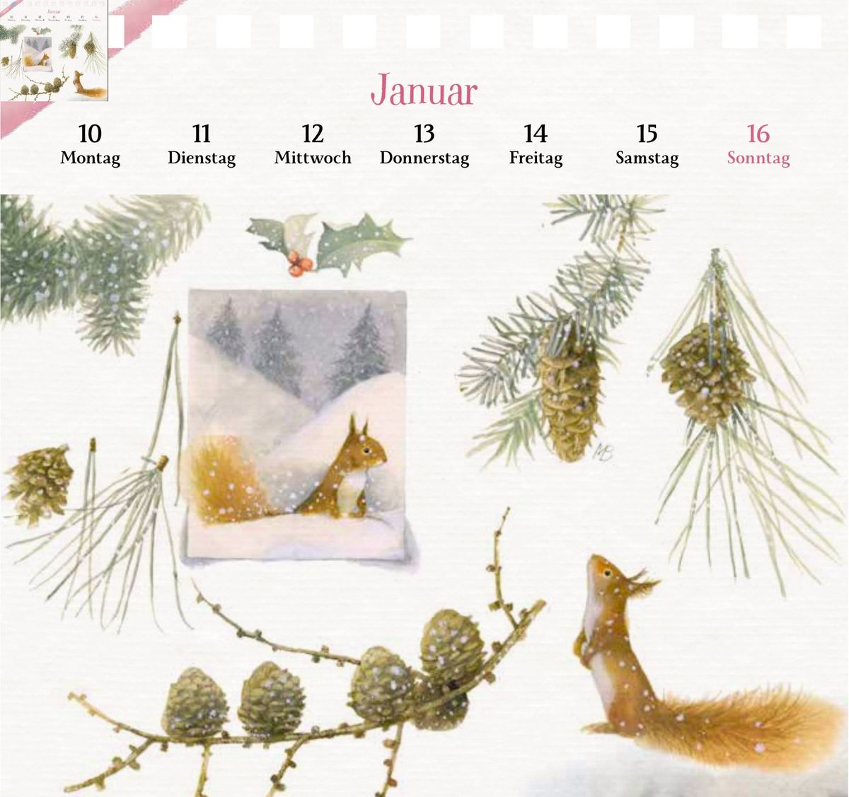 Weitere Ansicht: Kalender mit 53 Postkarten 2028 - Blick in den Garten
