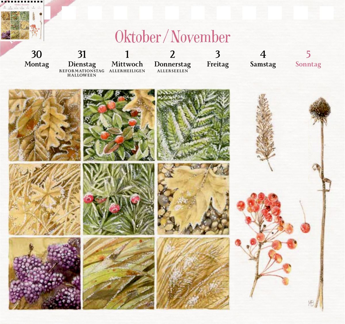 Weitere Ansicht: Kalender mit 53 Postkarten 2028 - Blick in den Garten