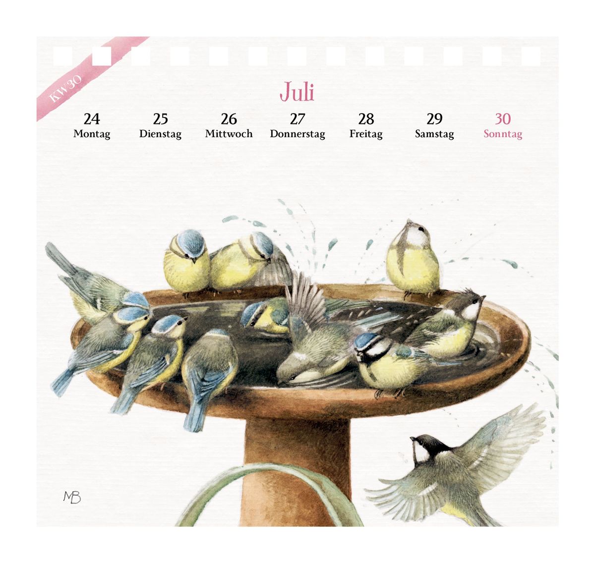 Weitere Ansicht: Kalender mit 53 Postkarten 2028 - Blick in den Garten