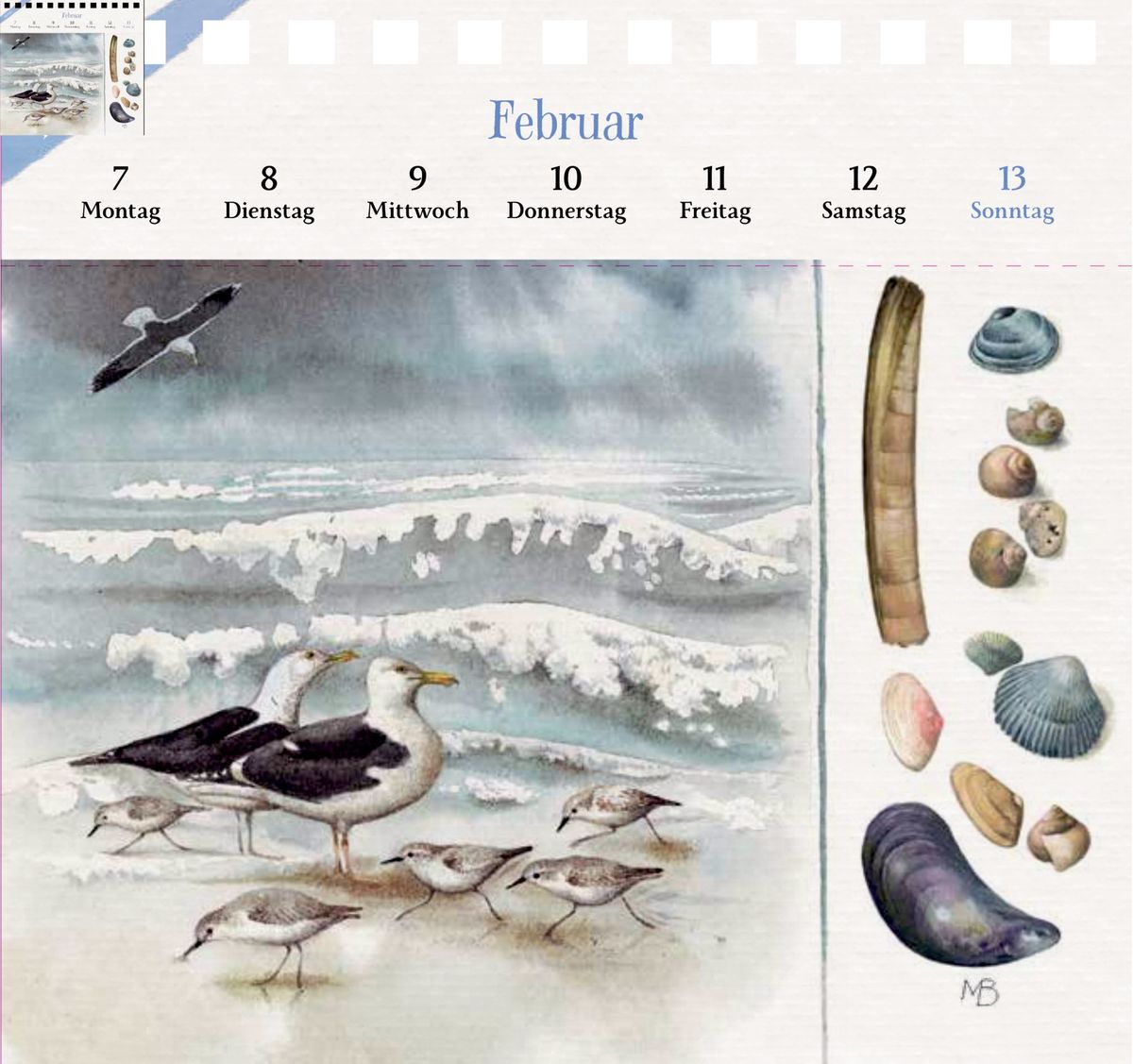 Weitere Ansicht: Kalender mit 53 Postkarten 2028 - Spaziergang durch die Natur