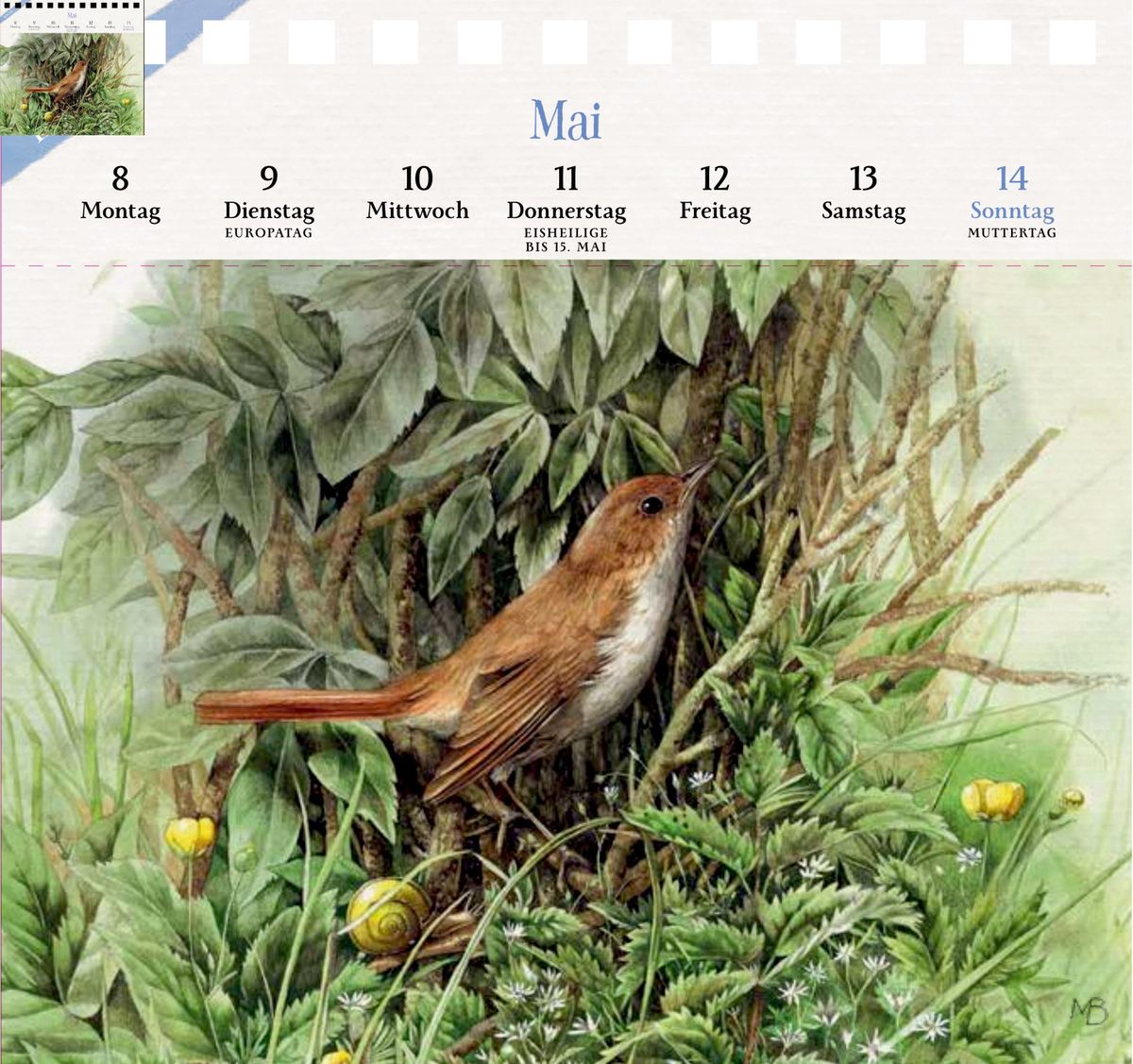 Weitere Ansicht: Kalender mit 53 Postkarten 2028 - Spaziergang durch die Natur
