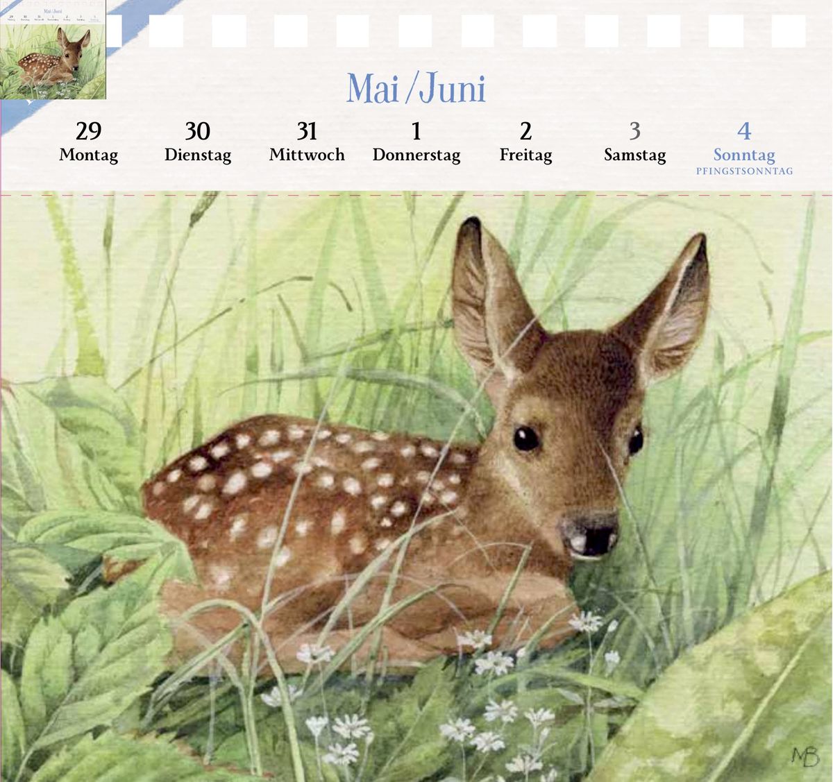 Weitere Ansicht: Kalender mit 53 Postkarten 2028 - Spaziergang durch die Natur