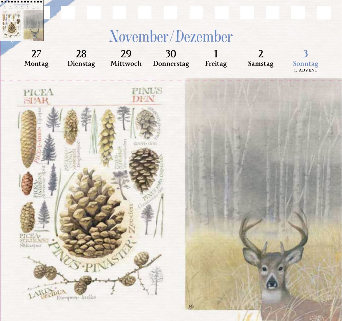 Weitere Ansicht: Kalender mit 53 Postkarten 2028 - Spaziergang durch die Natur