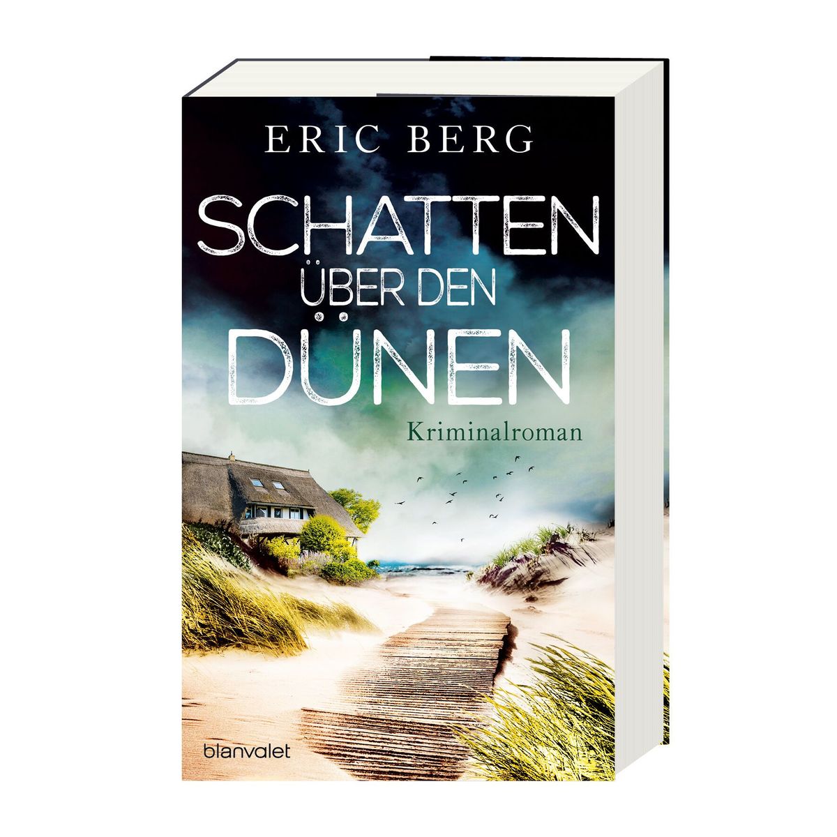Weitere Ansicht: Schatten über den Dünen | Eric Berg