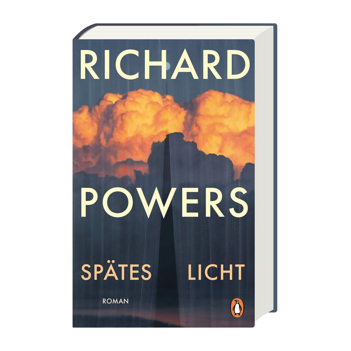 Weitere Ansicht: Spätes Licht | Richard Powers
