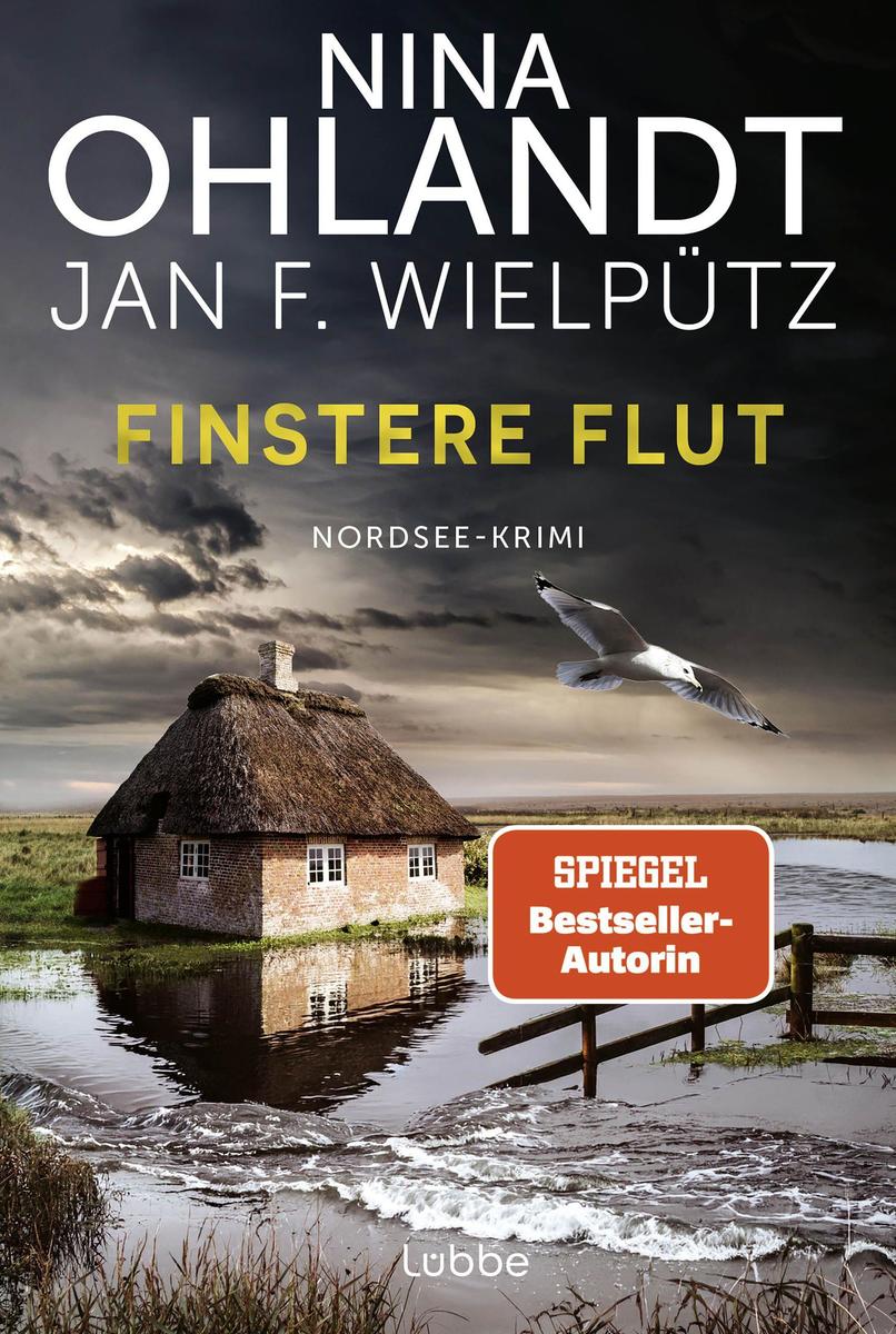 Produktbild: Finstere Flut | Nina Ohlandt, Jan F. Wielpütz