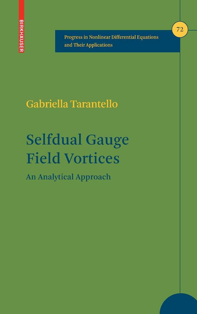 Produktbild: Selfdual Gauge Field Vortices | Gabriella Tarantello
