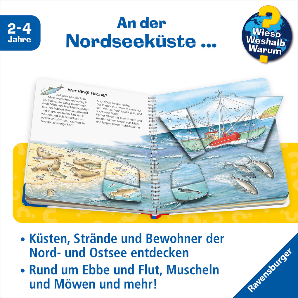 Weitere Ansicht: Wieso? Weshalb? Warum? junior, Band 17: Am Meer | Andrea Erne