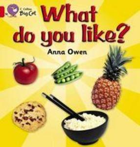 Produktbild: What Do You Like? | Anna Owen
