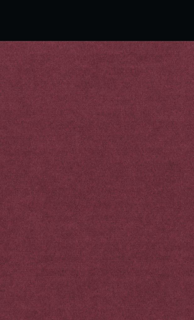 Weitere Ansicht: Gesammelte Werke 10. Fahles Feuer | Vladimir Nabokov