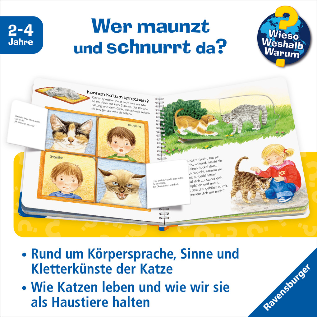 Weitere Ansicht: Wieso? Weshalb? Warum? junior, Band 21: Die Katze | Patricia Mennen