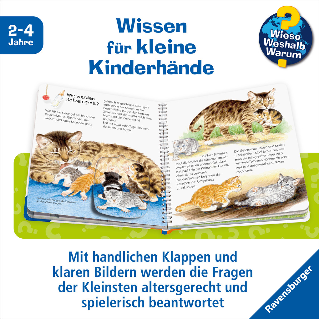 Weitere Ansicht: Wieso? Weshalb? Warum? junior, Band 21: Die Katze | Patricia Mennen