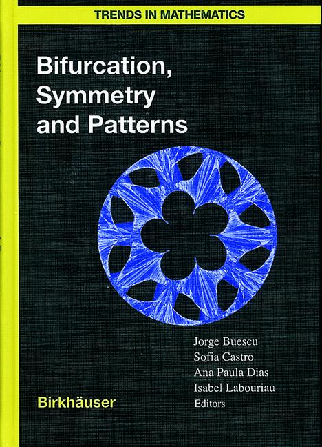 Weitere Ansicht: Bifurcation, Symmetry and Patterns