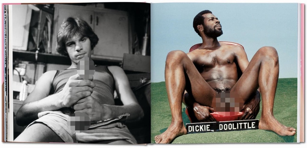 Weitere Ansicht: The Big Penis Book