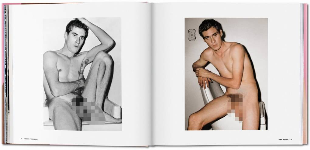 Weitere Ansicht: The Big Penis Book