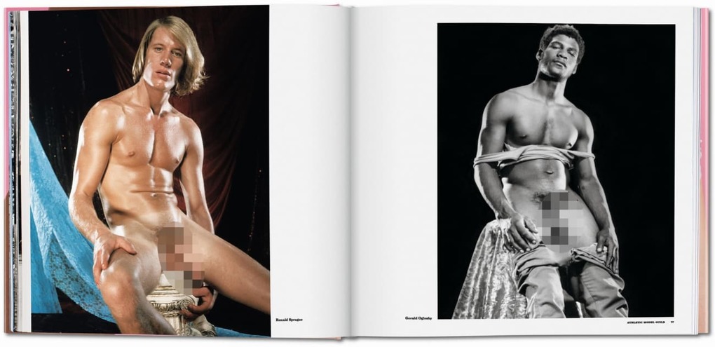 Weitere Ansicht: The Big Penis Book