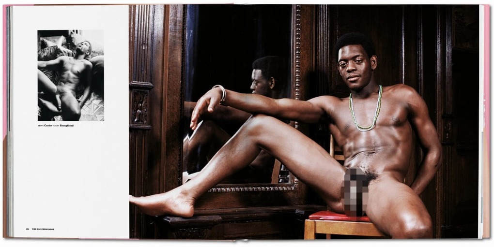 Weitere Ansicht: The Big Penis Book