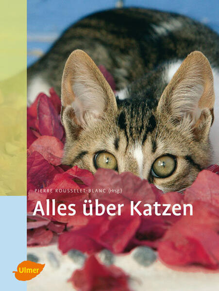 Produktbild: Alles über Katzen | Pierre Rousselet-Blanc