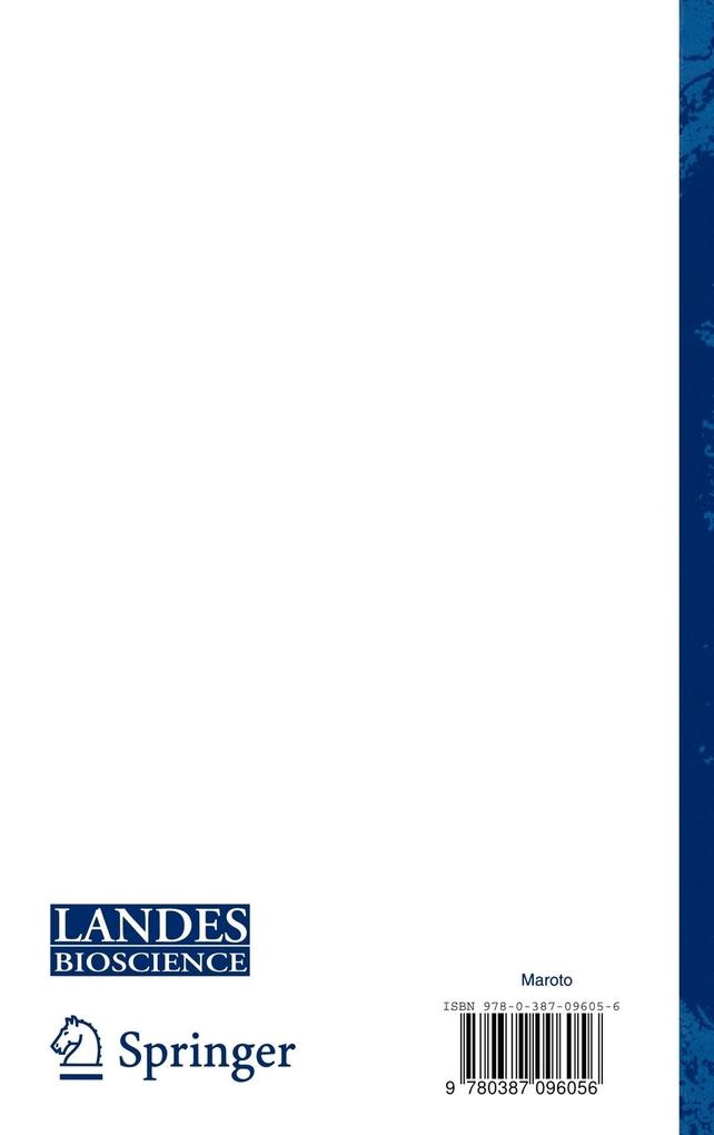 Weitere Ansicht: Somitogenesis