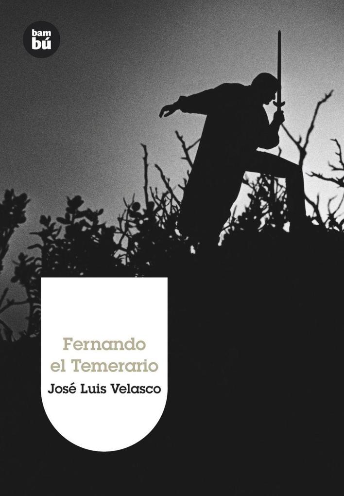 Weitere Ansicht: Fernando el Temerario | José Luis Velasco