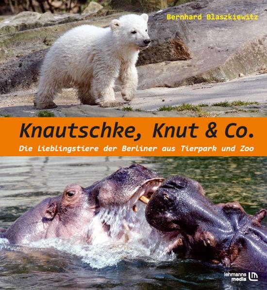 Produktbild: Knautschke, Knut & Co. | Bernd Blaszkiewitz, Bernhard Blaszkiewitz