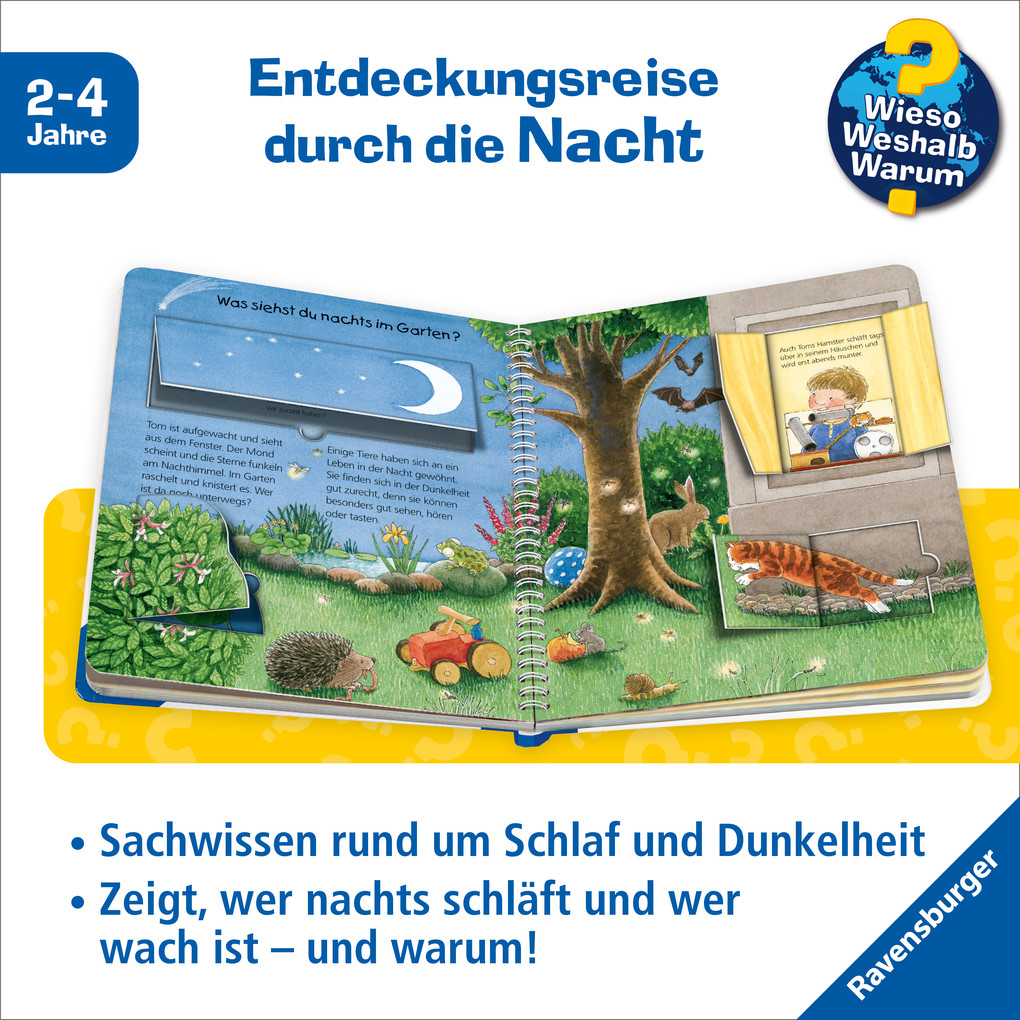 Weitere Ansicht: Wieso? Weshalb? Warum? junior, Band 28: Wenn es dunkel wird | Constanza Droop