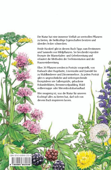 Weitere Ansicht: Holunder, Dost und Gänseblümchen | Heide Hasskerl