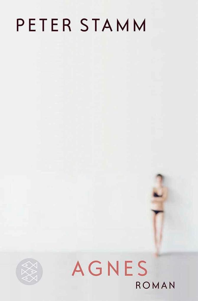 Produktbild: Agnes | Peter Stamm