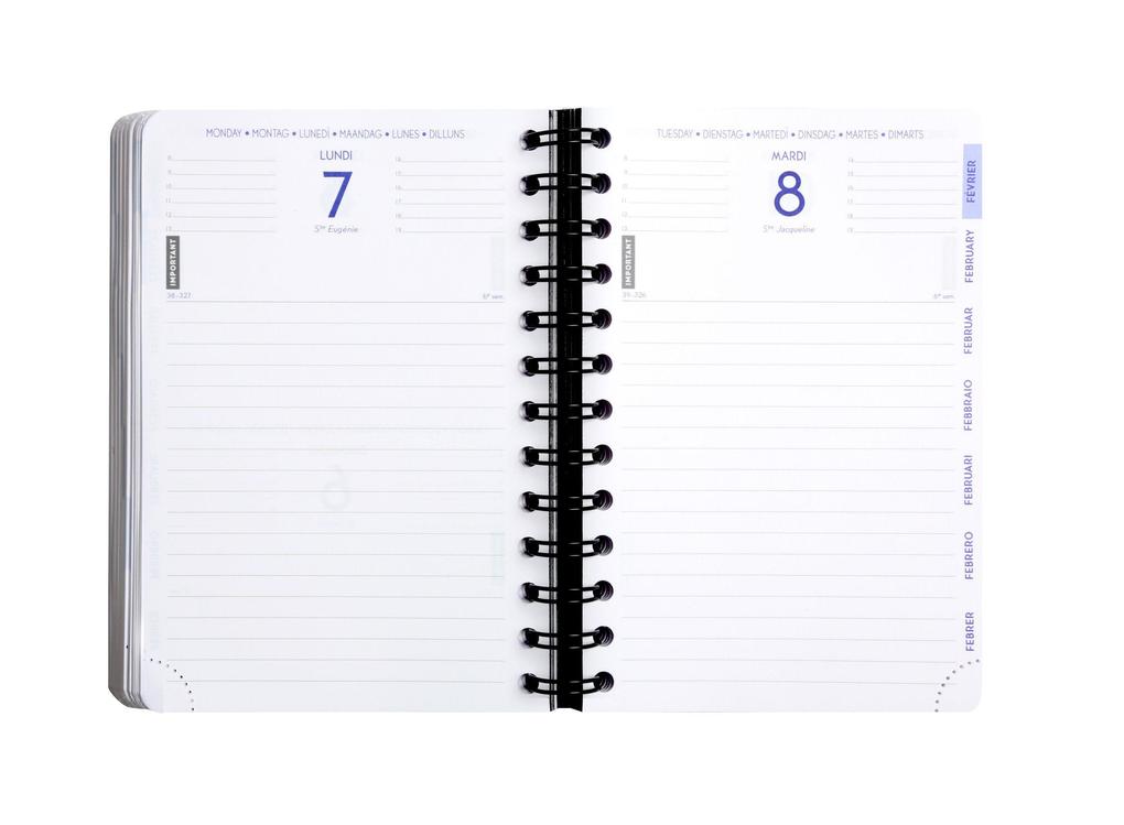Weitere Ansicht: Schülerkalender Forum BlackColor 4 st 2025/2026