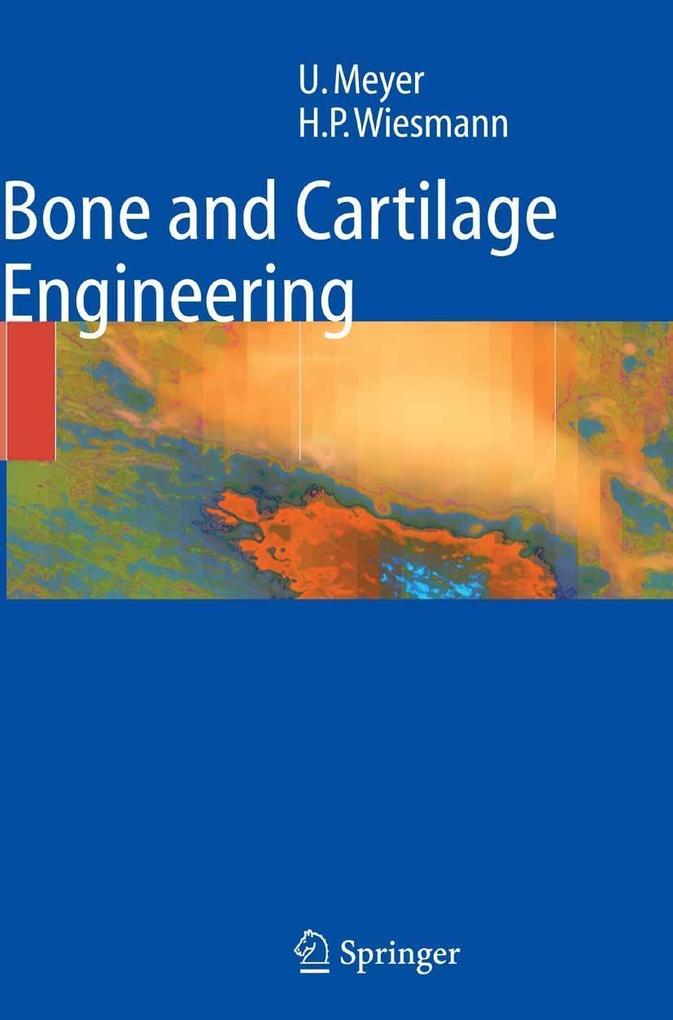 Produktbild: Bone and Cartilage Engineering | Hans Peter Wiesmann, Ulrich Meyer